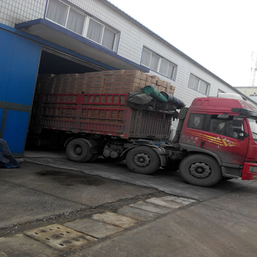 长沙客户采购丽星亿源食品粉丝装车发货现场版