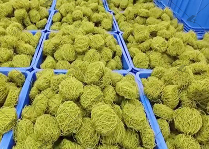 丽星方便粉丝生产线可加工果蔬汁粉饼，一机多用