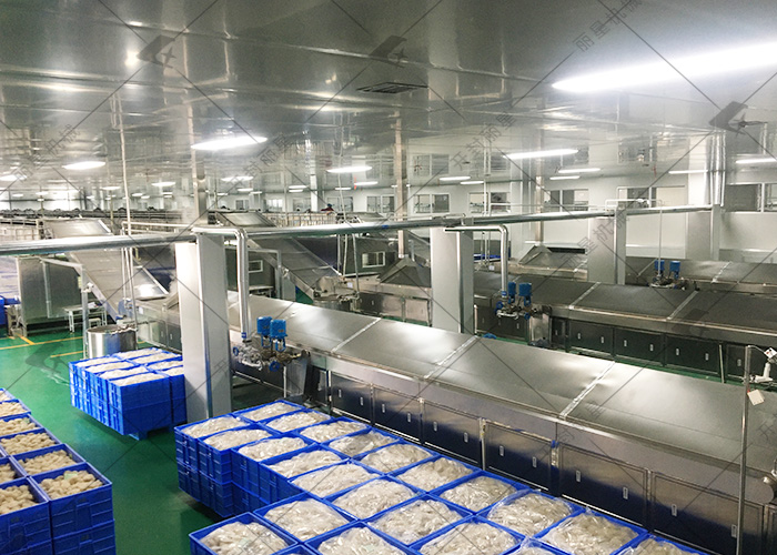大型方便粉丝生产线，适配多类型食品企业建厂升级
